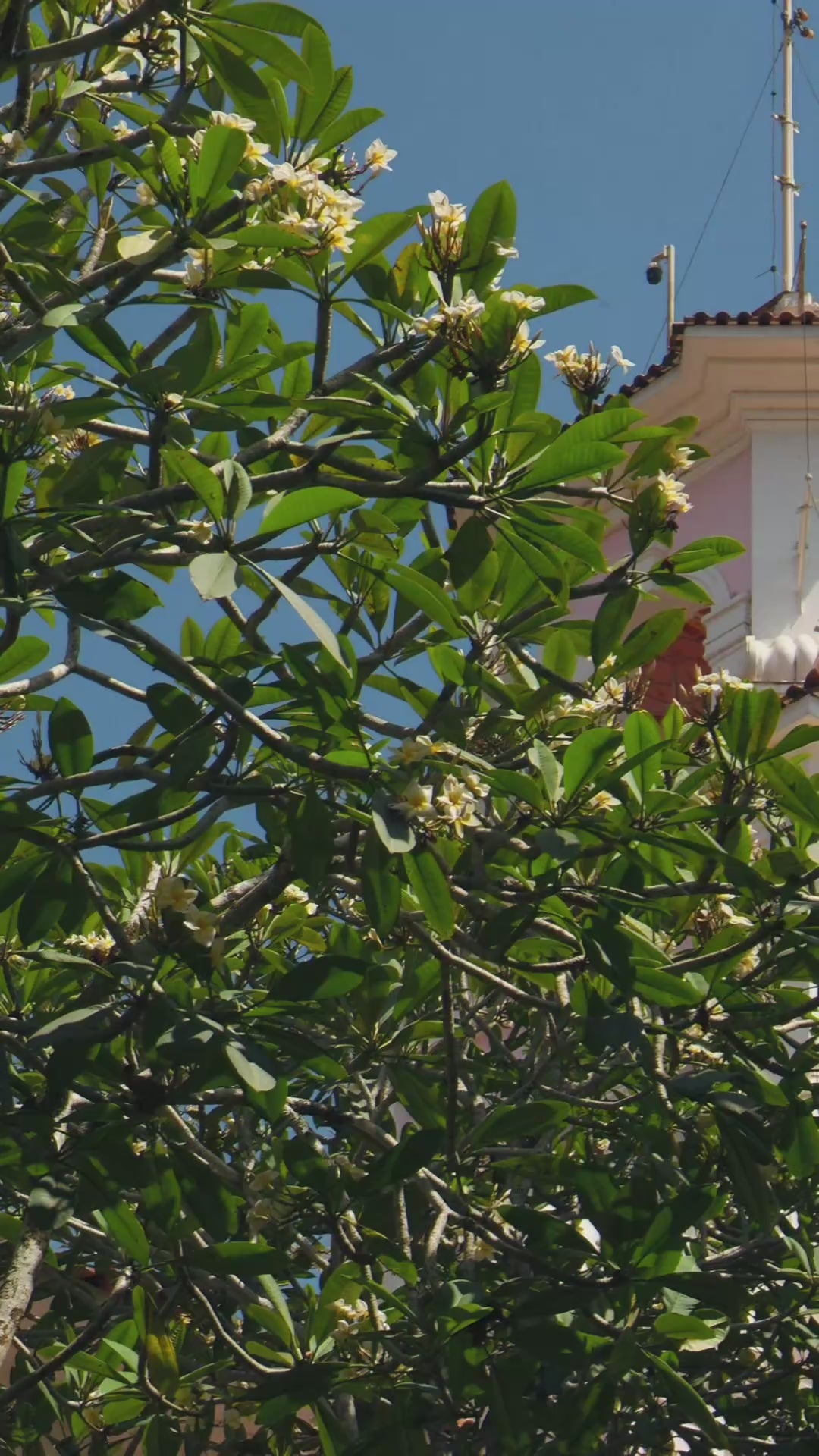 Conjunto TASSIA by Monick Camargo